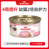 皇家幼年期全价猫粮湿粮(慕斯肉泥) KLC 85g